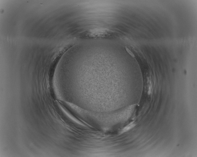 X0000065980508200603101426