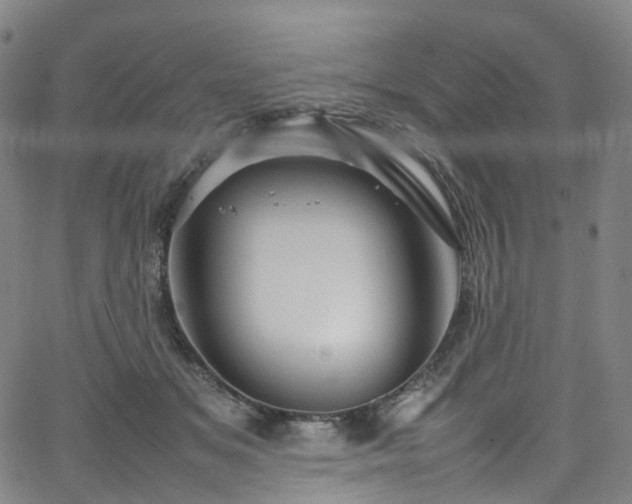 X0000065980509200603101426