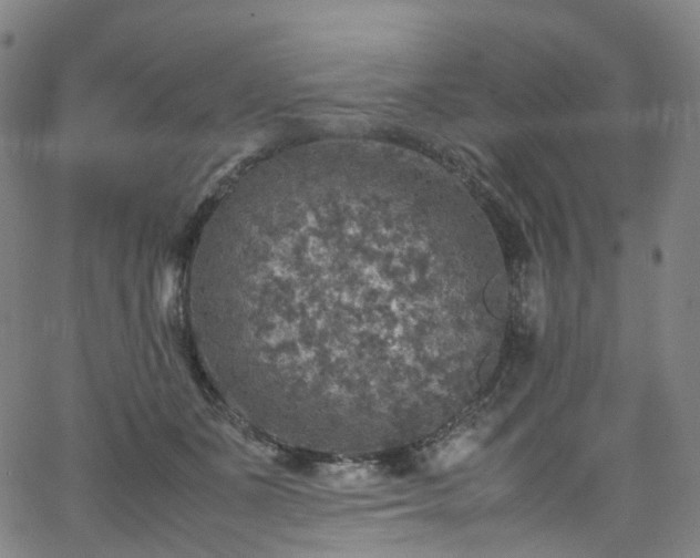 X0000065980511200603101426