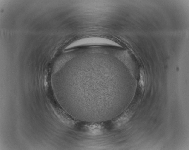 X0000065980512200603101425