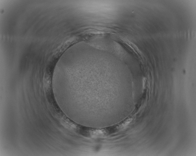 X0000065980513200603101425