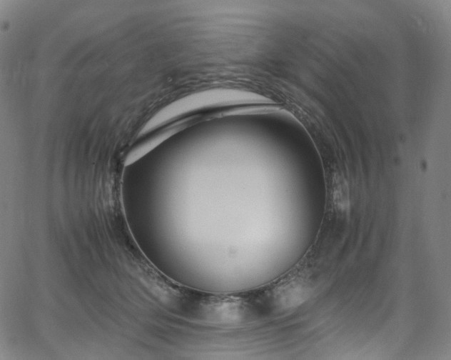 X0000065980514200603101425