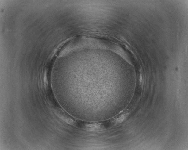 X0000065980516200603101425