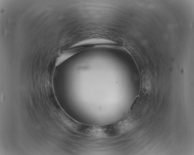 X0000065980518200603101425