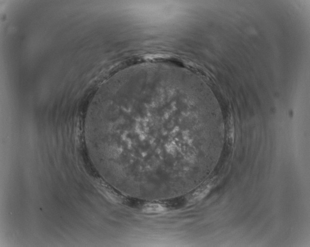 X0000065980519200603101425