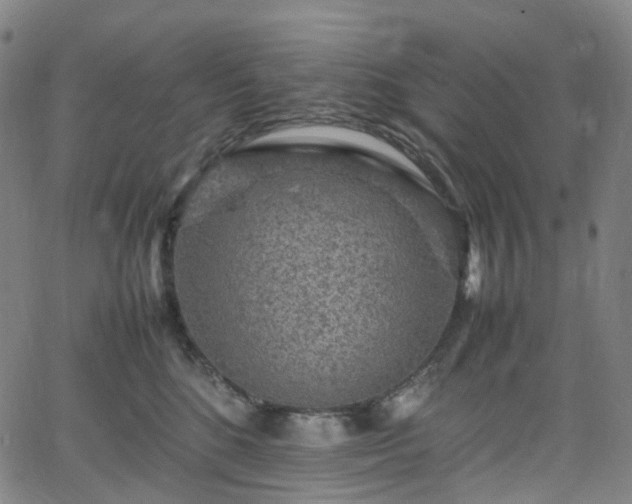 X0000065980520200603101425