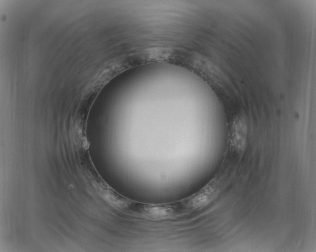 X0000065980522200603101425