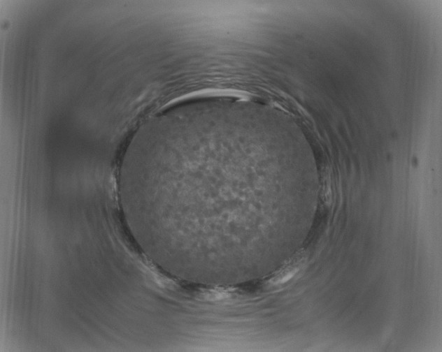 X0000065980523200603101425