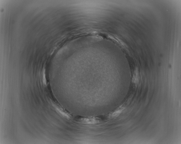 X0000065980524200603101425