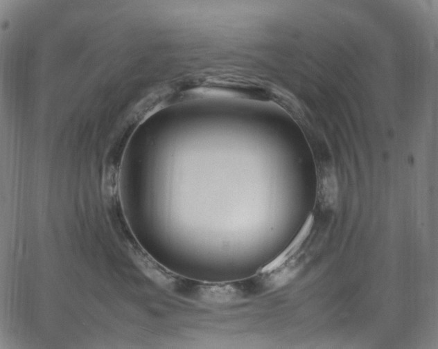 X0000065980525200603101425