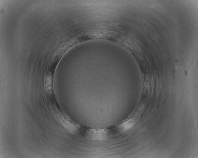 X0000065980526200603101425