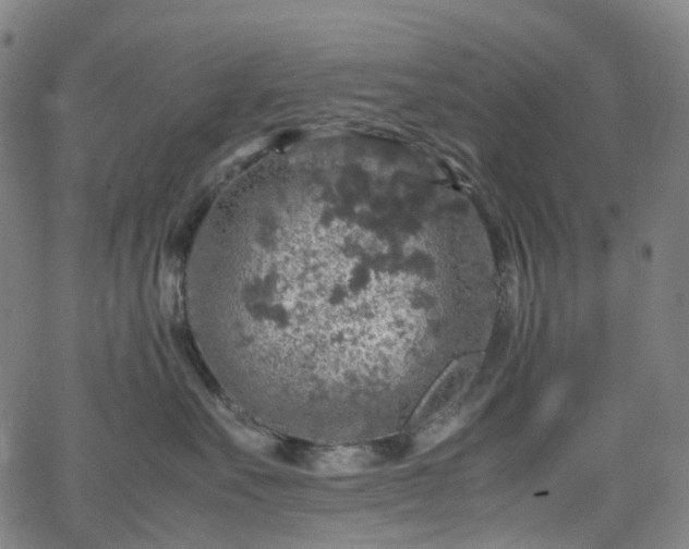 X0000065980527200603101425