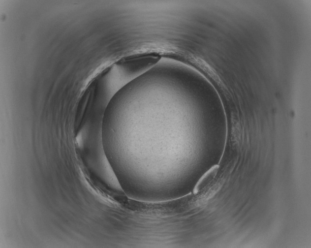 X0000065980530200603101424