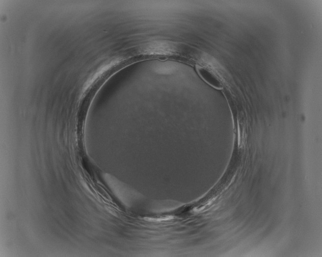 X0000065980531200603101424