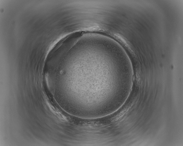 X0000065980532200603101425