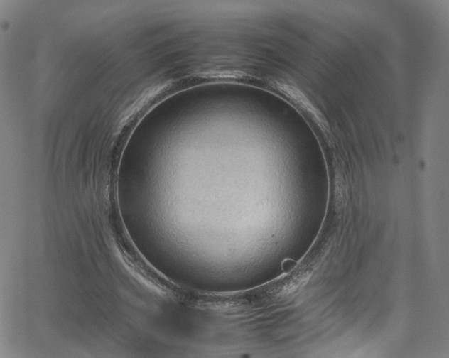 X0000065980533200603101425