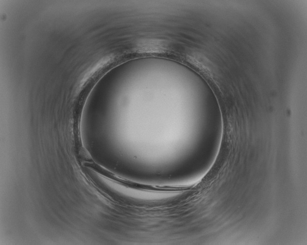 X0000065980535200603101425