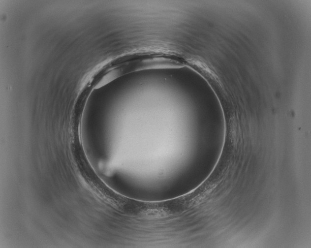 X0000065980536200603101425