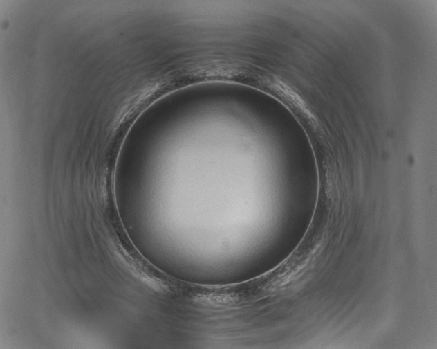 X0000065980537200603101425