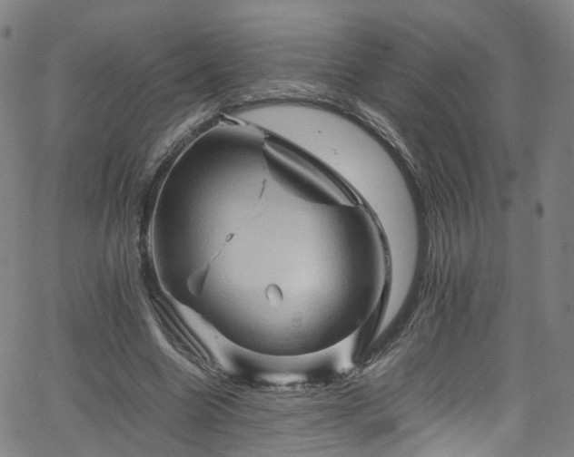 X0000065980538200603101425