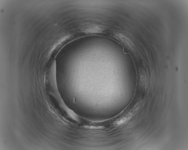 X0000065980539200603101425