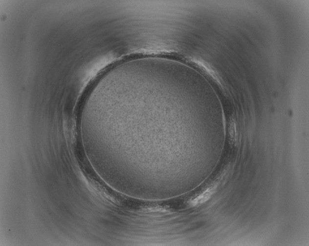 X0000065980540200603101425