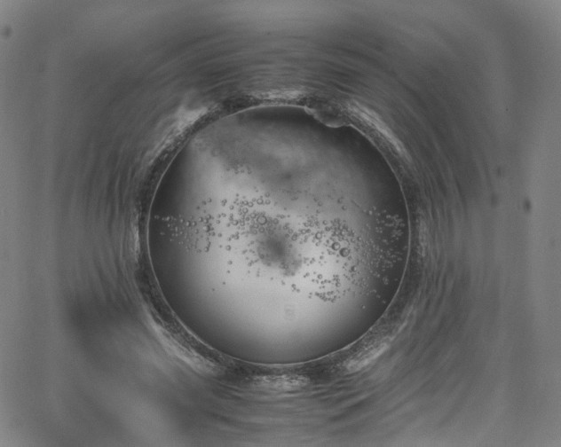 X0000065980541200603101425