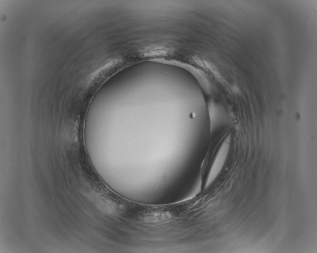 X0000065980543200603101425