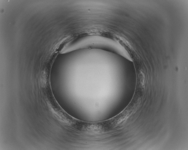 X0000065980546200603101425