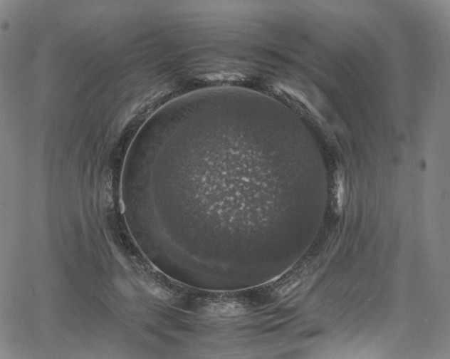 X0000065980547200603101425