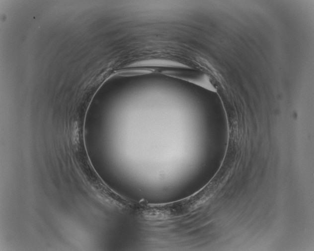 X0000065980549200603101425