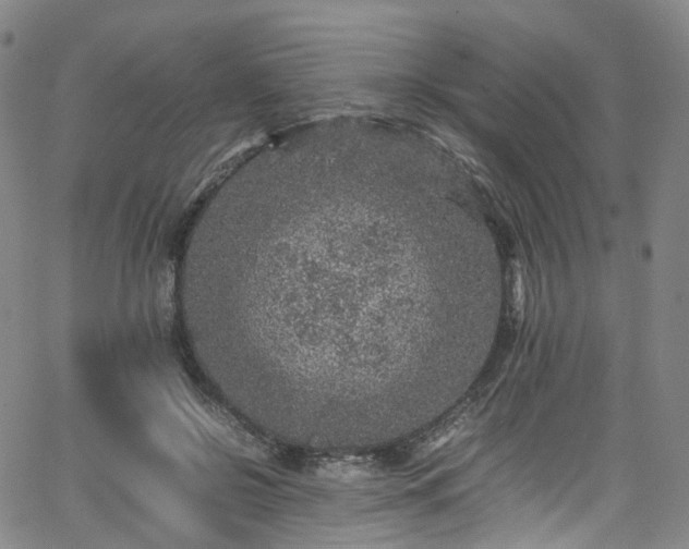 X0000065980550200603101425