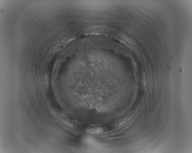 X0000065980551200603101425