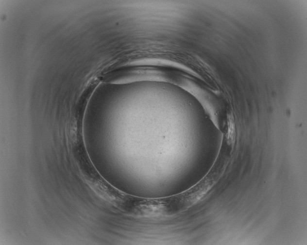 X0000065980552200603101425