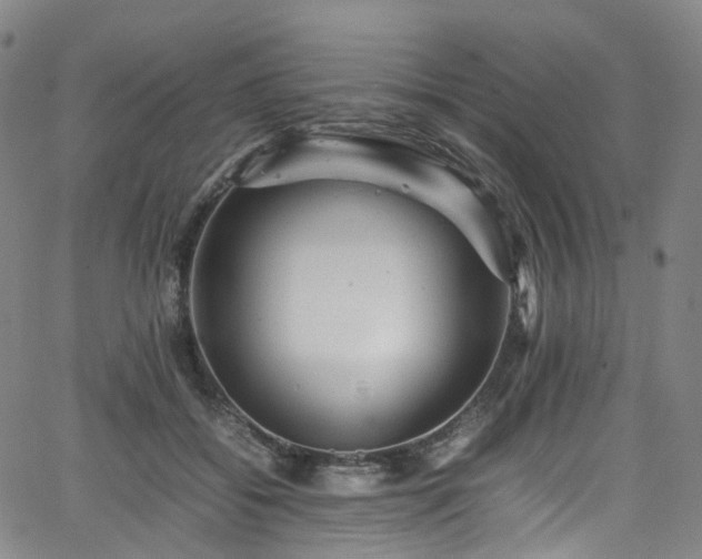 X0000065980556200603101425