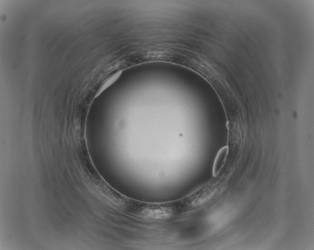 X0000065980557200603101425