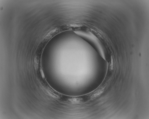 X0000065980558200603101425