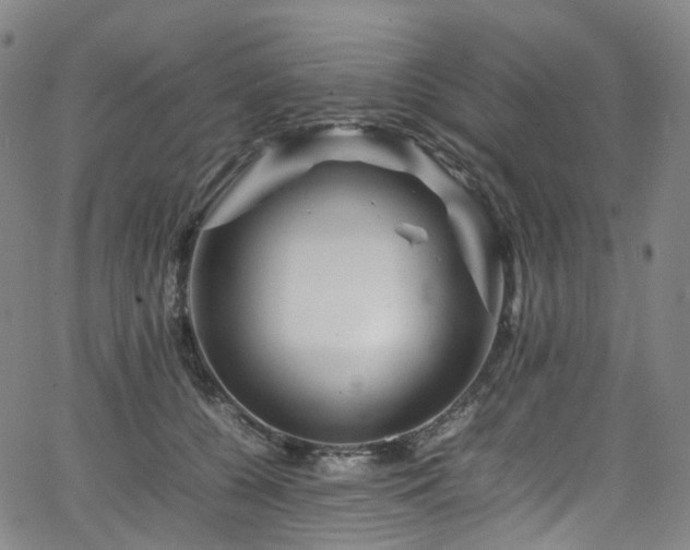 X0000065980560200603101425