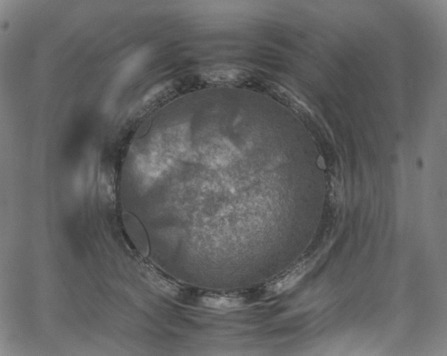 X0000065980561200603101425