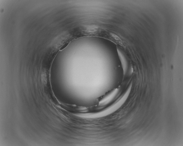 X0000065980562200603101425