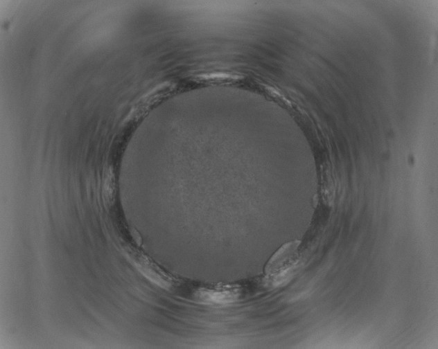 X0000065980563200603101425