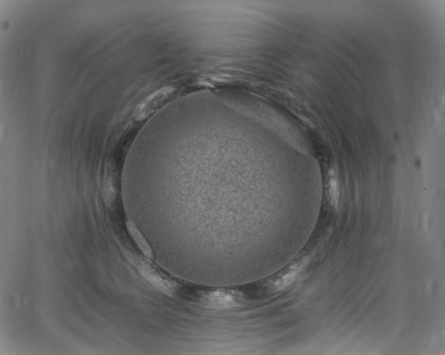 X0000065980566200603101425