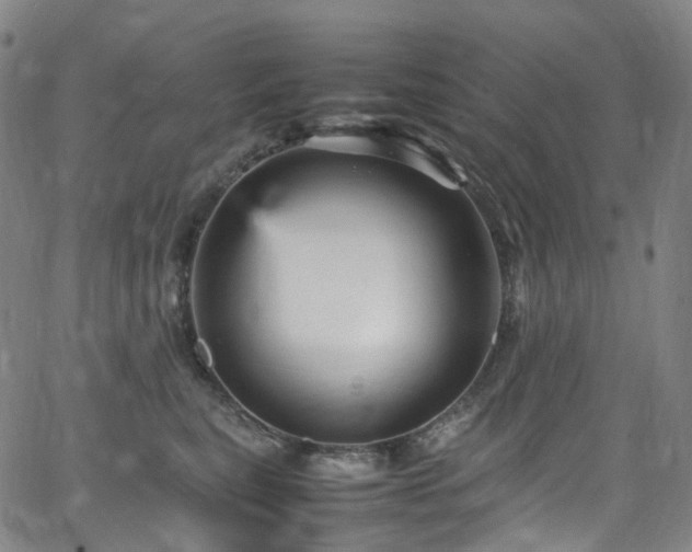 X0000065980567200603101425