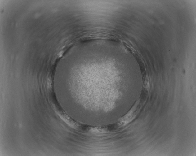 X0000065980568200603101425