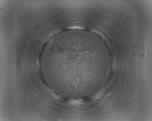 X0000065980569200603101425