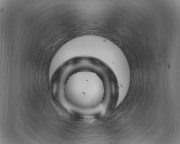 X0000065980570200603101425