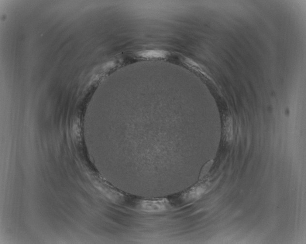 X0000065980571200603101425