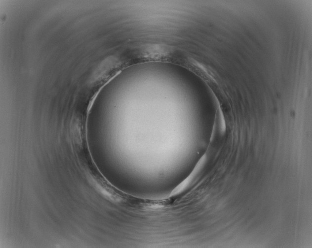 X0000065980572200603101425