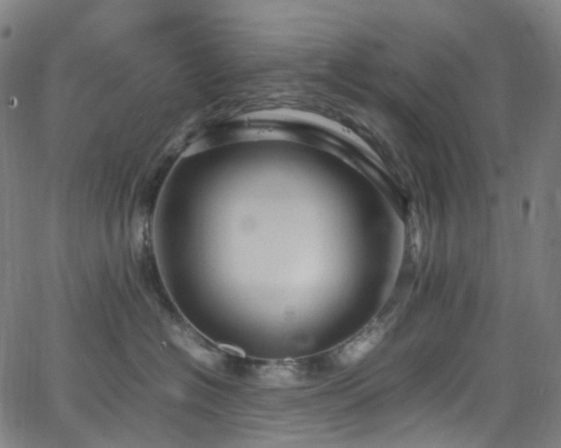 X0000065980574200603101425