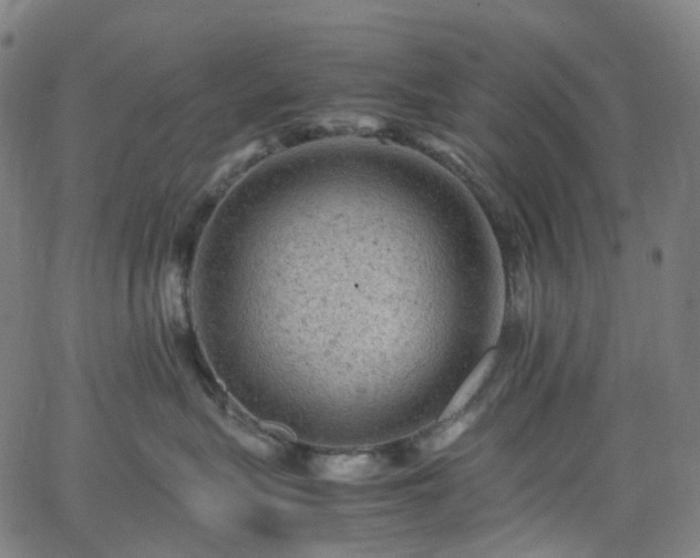 X0000065980575200603101425